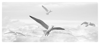 DNSEMP L 101 WT Journey Home Clouds Birds White